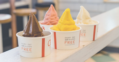Everything You Need to Know About Frozen Treat Supplies