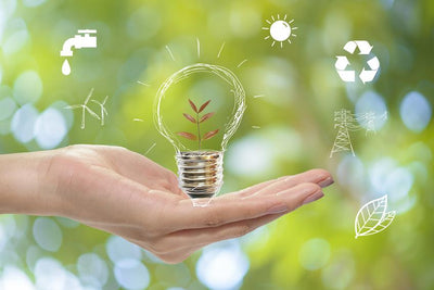 Reduce Your Restaurant's Carbon Footprint with these Eco-Friendly Initiatives